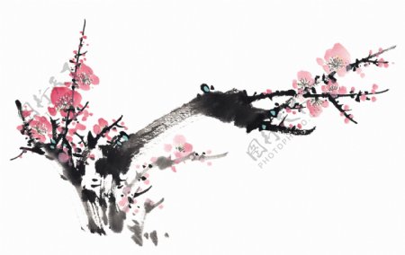中国画梅花传统绘画花卉