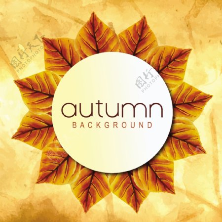 秋天的背景与水彩画的橙色黄色和绿色的叶子