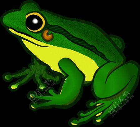 深绿色手绘青蛙免抠png透明素材