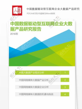 中国数据驱动型互联网企业大数据产品报告排版