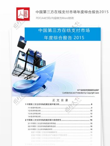 中国第三方在线支付市场年度综合报告框架