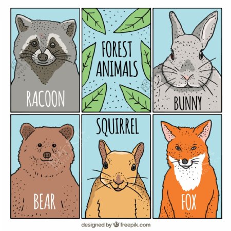 5款彩绘森林动物卡片矢量图
