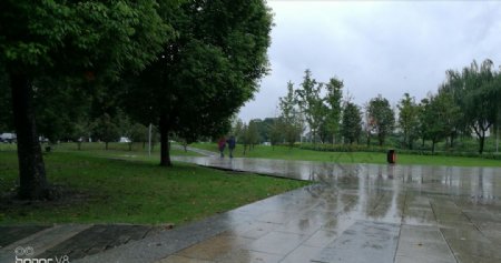 雨后的公园湿漉漉的