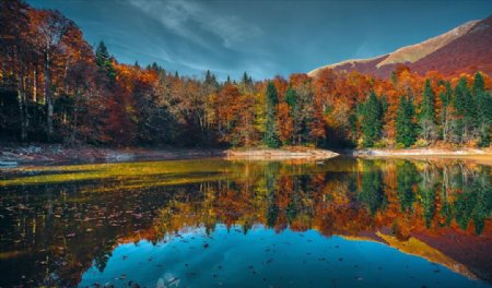 黑山共和国湖泊森林秋季