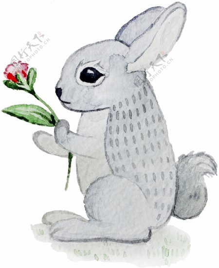灰色兔子卡通透明素材