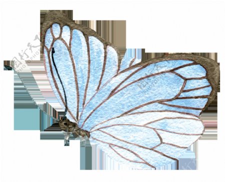 卡通蝴蝶透明装饰素材