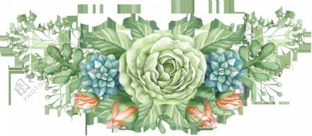 绿色绘画花卉卡通透明素材
