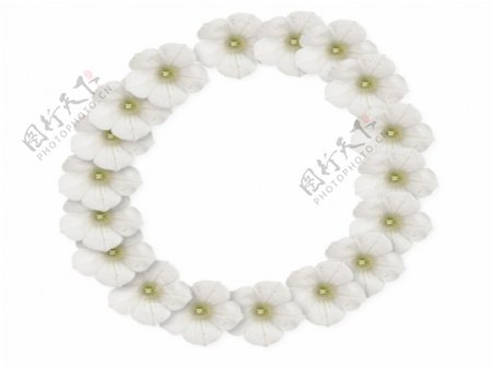 白色花卉圆形边框免抠psd透明素材
