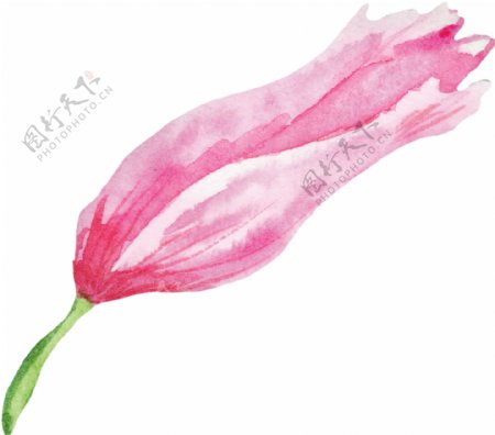 甜美粉色花卉卡通水彩透明素材