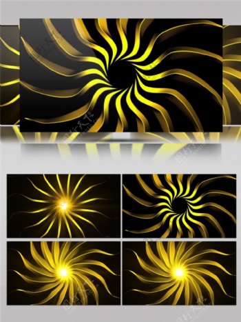 金色创意太阳花视频素材高清