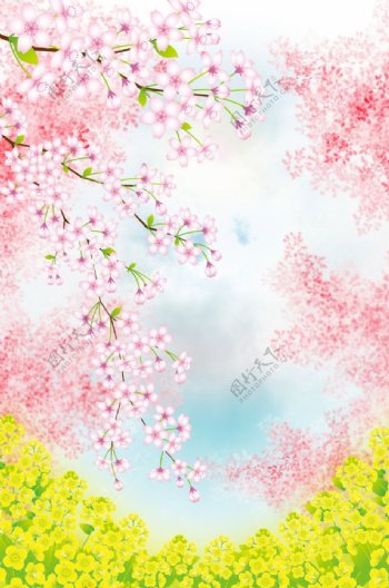 日式花朵樱花背景