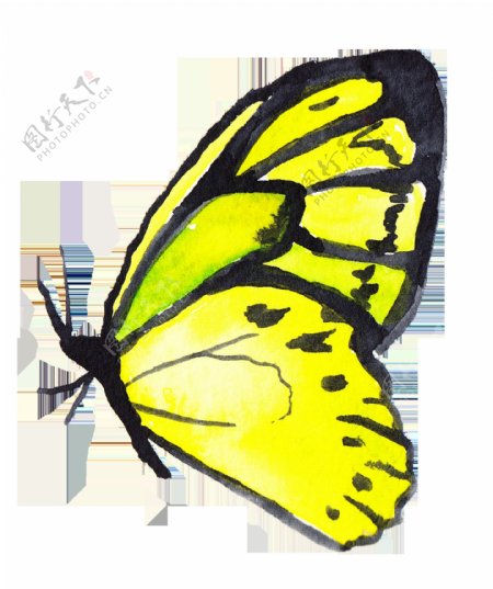 亮黄蝴蝶透明装饰素材