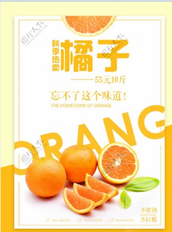 秋季橙子特卖海报
