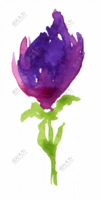 灿紫花束透明装饰素材
