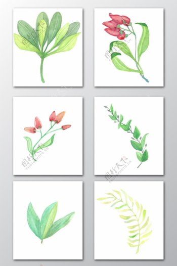 水彩手绘花朵绿色植物PNG免抠素材
