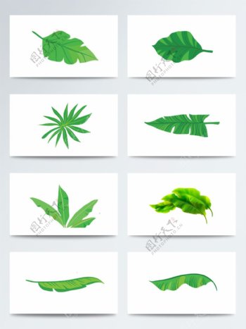 卡通手绘热带植物芭蕉叶子PNG元素