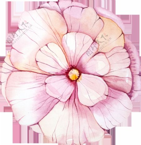 手绘粉色花朵卡通免扣素材