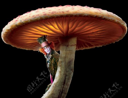 童话世界蘑菇装饰图