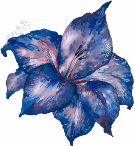 手绘蓝紫色花朵PNG透明素材