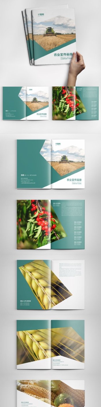 几何创意青色农业宣传画册设计PSD模板