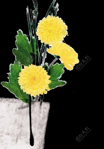 清新美丽白黄色花朵手绘菊花装饰元素