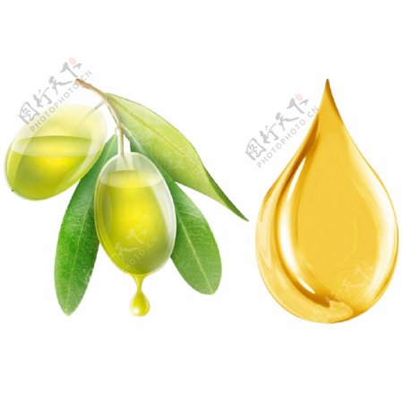 绿色橄榄果油png元素