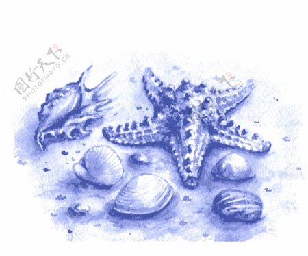 蓝色水彩绘海洋生物插画
