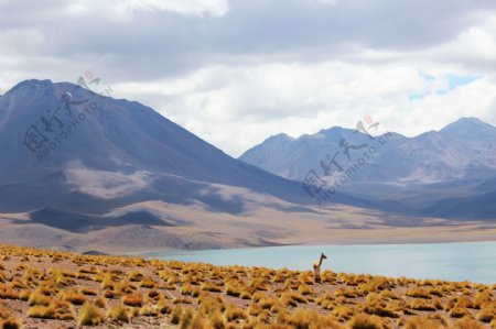 山水美景