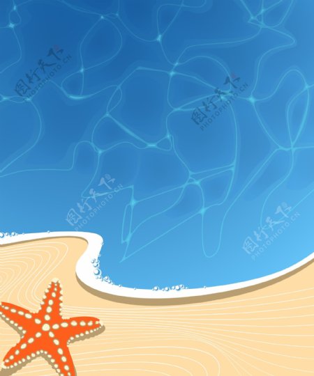 海星沙滩海报背景