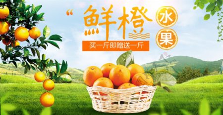 淘宝京东水果海报