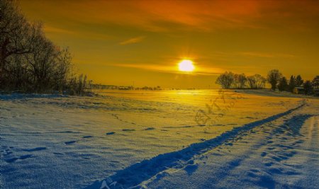 冬季日出和日落雪太阳大自然