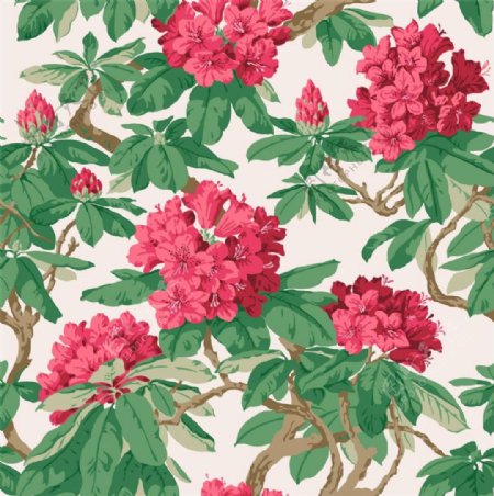 清新自然鲜红色花朵壁纸图案