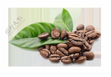 咖啡豆png元素