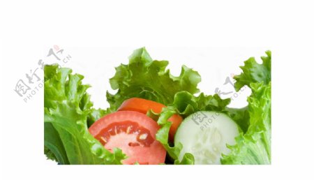 西红柿黄瓜生菜蔬菜png元素