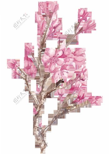 手绘一枝冬日的梅花树枝png透明素材