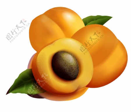 水果杏子元素