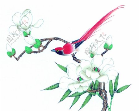 中式花鸟工笔画