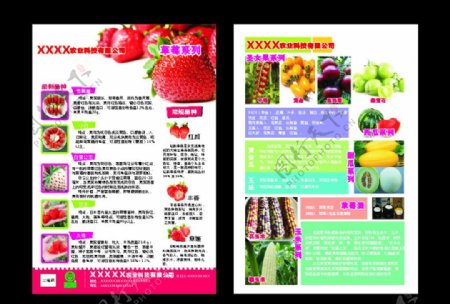 农业科技草莓水果宣传单