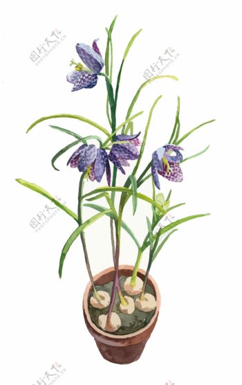 盆栽紫色花朵装饰元素