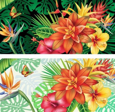 热带植物花横幅