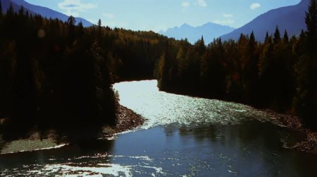 潺潺的小溪流进森林素材视频