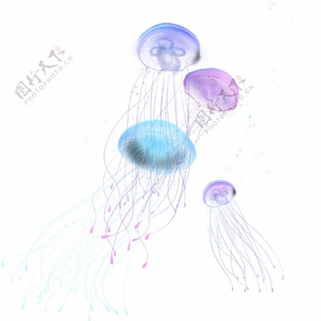 手绘多彩海洋生物水母原创元素