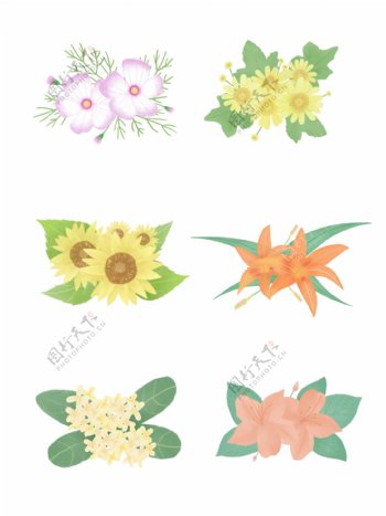 手绘花卉插画植物素材套图