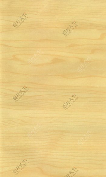 杉木木纹