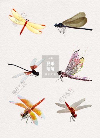 夏季蜻蜓装饰图案素材