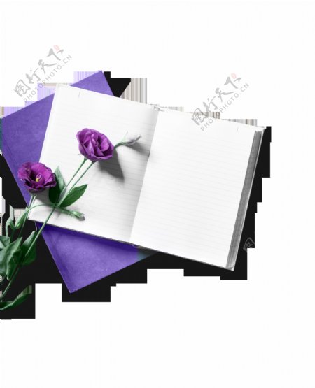 紫色浪漫花朵装饰素材