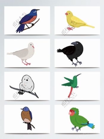 创意设计复古鸟类