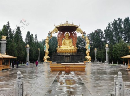 潍坊金泉寺金身巨型佛像