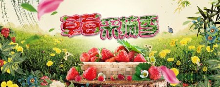 草莓采摘季农业banner