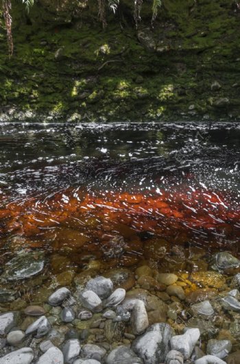 岩石海浪水面山泉鹅卵石